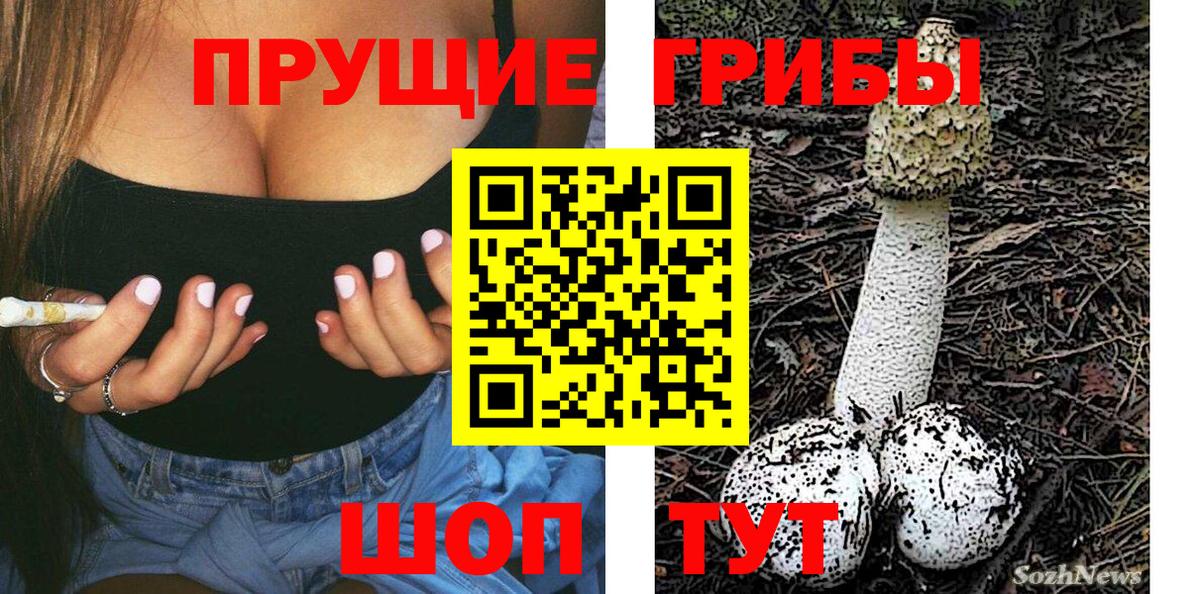 Камышлов  Галлюциногенные грибы прущие грибы  купить наркотик  Вход с VPN 