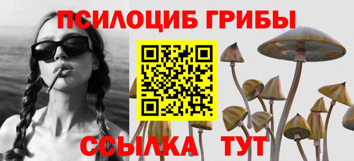 Псилоцибиновые грибы GOLDEN TEACHER Камышлов